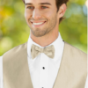 HERRINGBONE EGGPLANT BOW TIE - Image 7