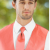 SOLID HERRINGBONE PERSIMMON WINDSOR - Image 9