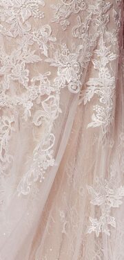V-Neck Applique Tulle Train Wedding Gown - Image 7
