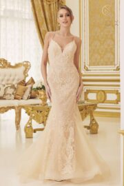 Stunning Spaghetti Strap Mermaid Gown flattering V-neckline