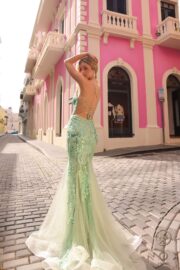 Full Iridescent Applique V-neckline Spaghetti Straps Mermaid - Image 3