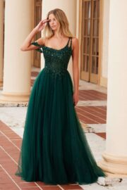 Embroidered A-Line Sheer Boned Waistline Dress