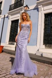 Mermaid Sleeveless Sweetheart Sheer Boned Top Dress - Image 4