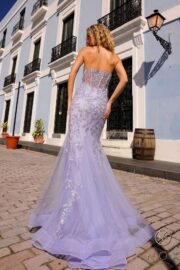 Mermaid Sleeveless Sweetheart Sheer Boned Top Dress - Image 6