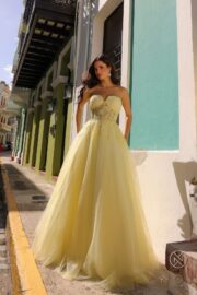 A-Line Sheer Bone Waist Tulle Gown