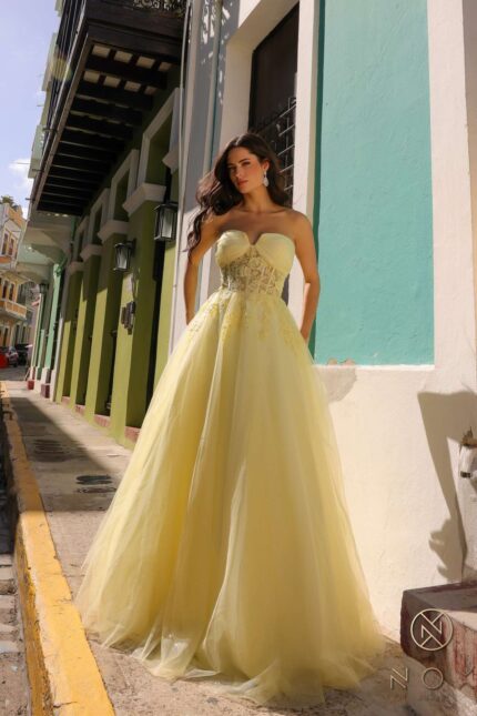 A-Line Sheer Bone Waist Tulle Gown