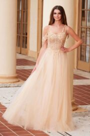 Embroidered A-Line Sheer Boned Waistline Dress - Image 3