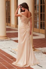 Satin Sweetheart Sequin Applique Boned Waistline - Image 7