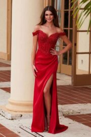 Satin Sweetheart Sequin Applique Boned Waistline - Image 6