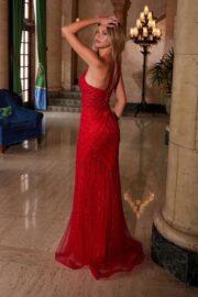 Applique Tulle Gown Lace-Up Back Dress - Image 10