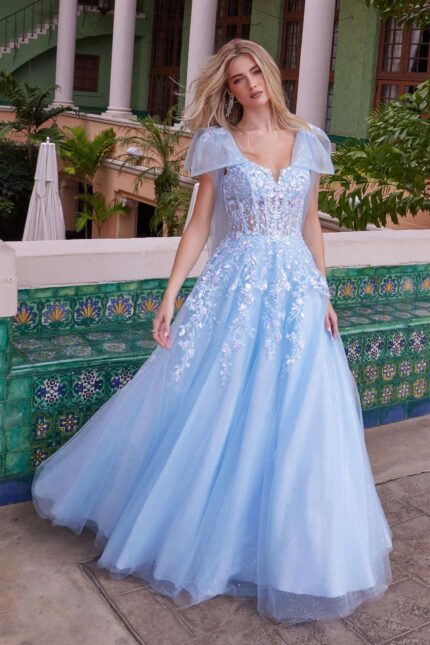 Draped Tie-Up Straps Applique Tulle Dress