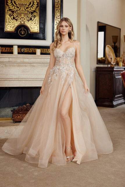 LONG A LINE GOWN SWEETHEART BUSTLINE WITH SPAGHETTI STRAPS
