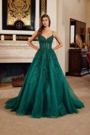 FIT & FLARE LONG GOWN PLUNGING V NECKLINE SPAGHETTI STRAPS