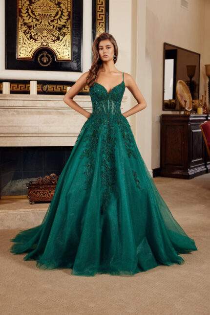 FIT & FLARE LONG GOWN PLUNGING V NECKLINE SPAGHETTI STRAPS