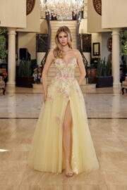 FIT AND FLARE LONG TULLE GOWN PLUNGING V NECKLINE
