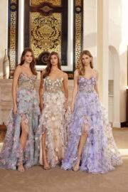LONG ORGANZA BALL GOWN WITH FULL FLOWER APPLIQUE V BUSTLINE
