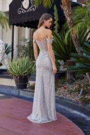 STUNNING FULL SEQUINED BEADED APPLIQUE V NECKILINE - Image 6