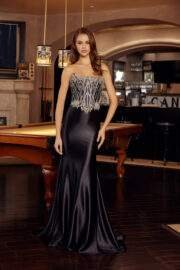 FIT AND FLARE SILVER SEQUINED APPLIQUE TOP SCOOP BUSTLINE - Image 6