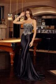 FIT AND FLARE SILVER SEQUINED APPLIQUE TOP SCOOP BUSTLINE - Image 5