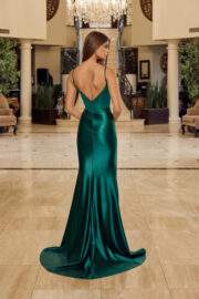 SHINY SATIN FULLY BEADED BONED SHEER WAISTLINE - Image 8